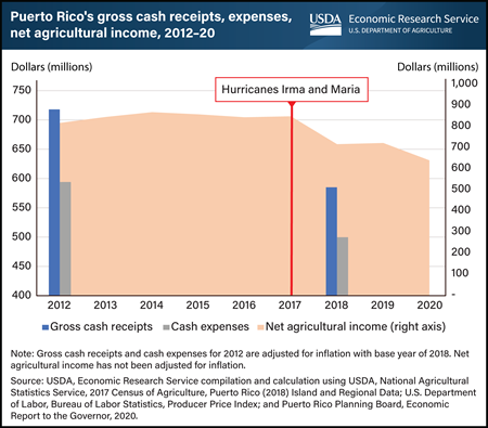 Hurricanes in 2017 cut Puerto Rico’s agricultural sector revenue by 19 percent