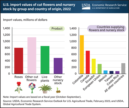 U.S. imports of cut flowers and nursery products grew to $3.3 billion in 2022