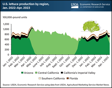 U.S. lettuce production shifts regionally by season