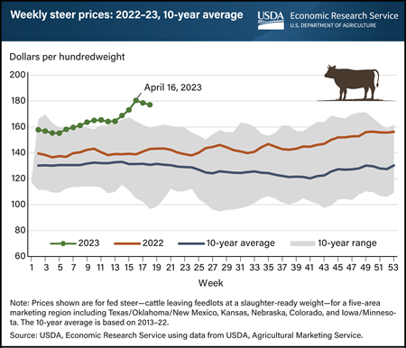 Steer prices hit record high in April 2023