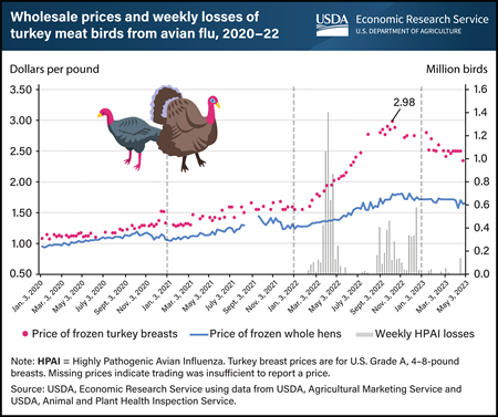 Avian flu losses in 2022 affected turkey breast prices more than whole hens