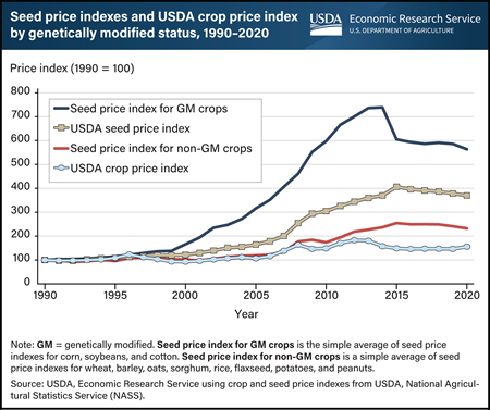 Prices for genetically modified seeds have risen much faster than non-GM seeds