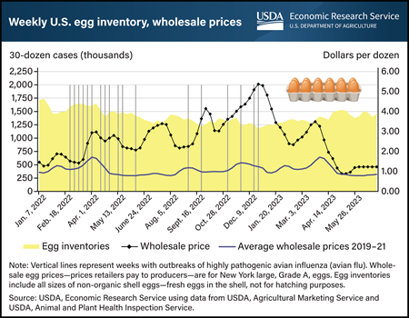 Wholesale egg prices tumble as egg supplies recover