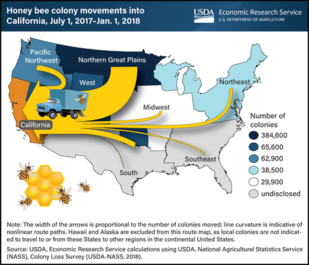 Thousands of commercial honey bee colonies are transported long distances to pollinate California almonds