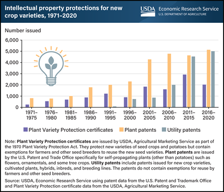 Intellectual property protections for new crop varieties have increased