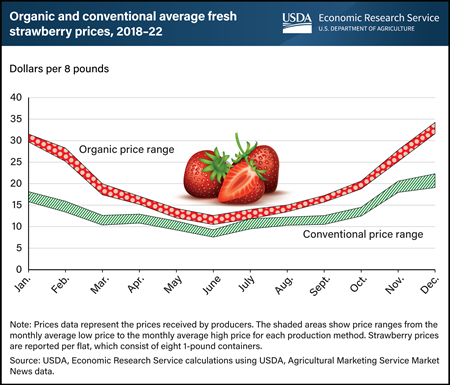 Organic strawberries bring growers higher prices than conventional berries