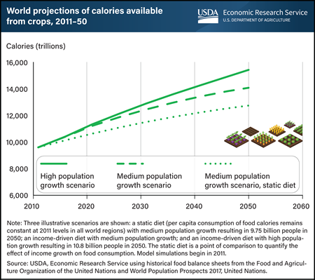 Population and income drive world food production projections