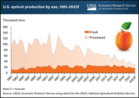 U.S. apricot production trends lower