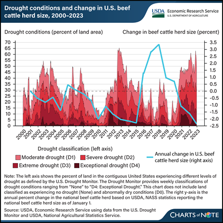 Drought conditions influence annual fluctuations in U.S. beef cattle herd size