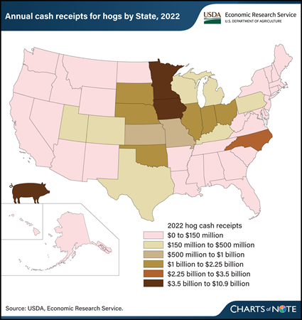 Iowa leads States in hog production