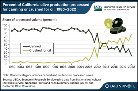 Line chart comparing the percent of California olive production processed for canning or crushed for oil between 1980 and 2022.