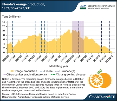 Stacked line and bar chart showing Florida's orange production between marketing years 1959/60 forecast through 2023/24.
