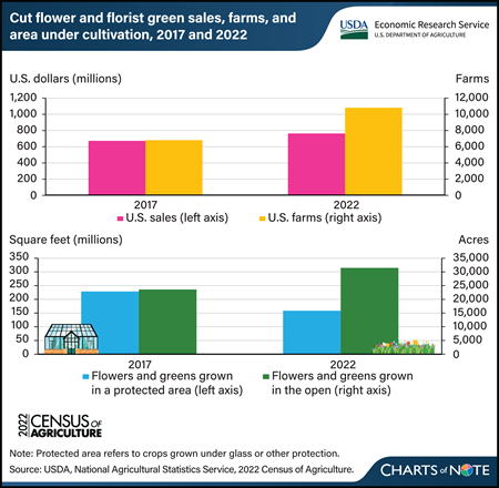 Four vertical bar charts showing U.S. sales, number of U.S. farms, square feet of greenhouse space, and acres of flowers and greens grown in the open in 2017 and 2022.