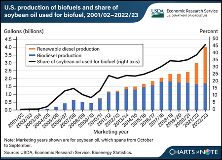 Renewable diesel production surpasses biodiesel