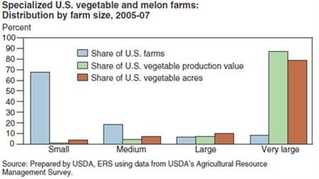 Vegetable production is concentrated on large farms