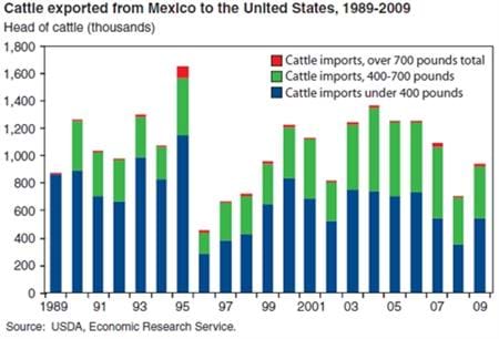 Cattle exported from Mexico to the United States, 1989-2009