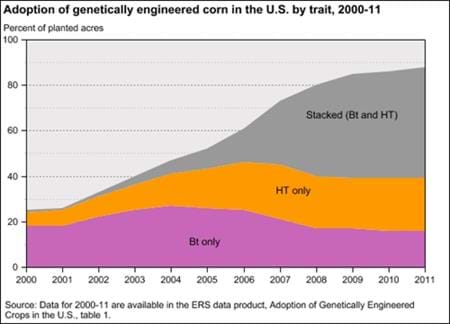 Adoption of "stacked" GE varieties of corn accelerates