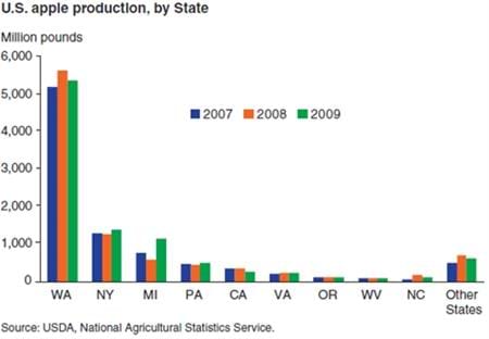 U.S. apple production, by State