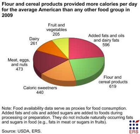 Grains provided nearly a quarter of daily calories for the average American in 2009