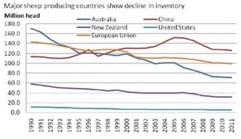 Major sheep producing countries show decline in inventory