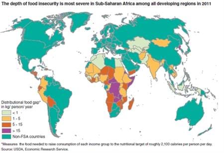 The depth of food insecurity is most severe in Sub-Saharan Africa among all developing regions