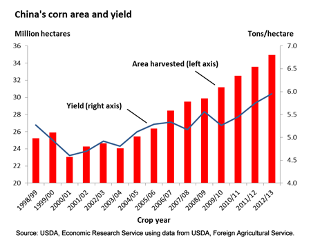 Increased China corn production boosts 2012/13 global output