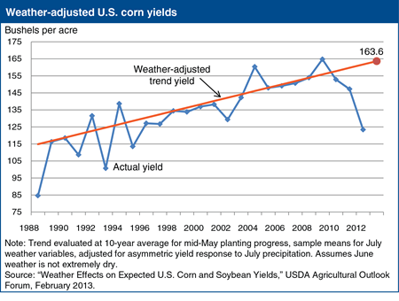 Weather-adjusted 2013 corn yield expectation at 163.6 bushels per acre