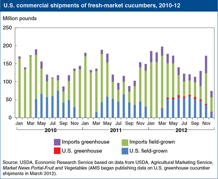 Mexico is the largest supplier of fresh cucumbers to the U.S. market