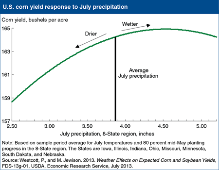 Dry weather reduces corn yields more than wet weather increases them