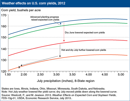 Drought and heat in 2012 lowered U.S. corn yields by more than 40 bushels per acre