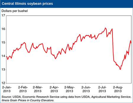 U.S. soybean prices drop then rebound on changing new-crop outlook