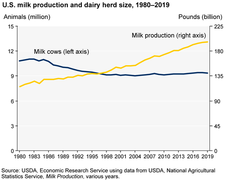 Growth in output per cow drives U.S. milk production gains