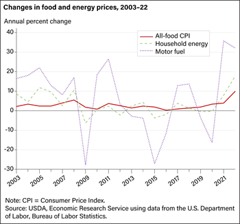 Food prices less volatile than fuel prices