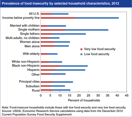 Which American households struggle to put food on the table?