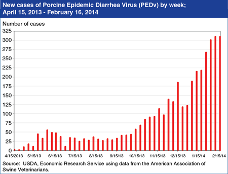 Outbreak of Porcine Epidemic Diarrhea Virus (PEDv) impacts forecast of 2014 U.S. pork output
