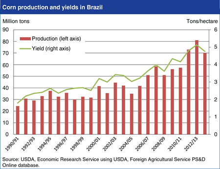 Yield growth supports rapid expansion of Brazilian corn production