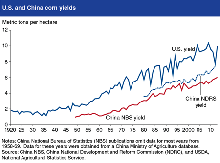 China's corn yields continue to lag behind U.S. yields