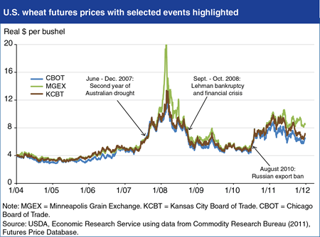 Market fundamentals have been the primary driver of recent wheat price spikes