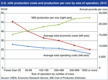 Larger operations squeeze out more milk at lower cost