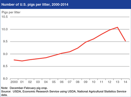 Effects of PEDv outbreak evident in U.S. pig-per-litter rate
