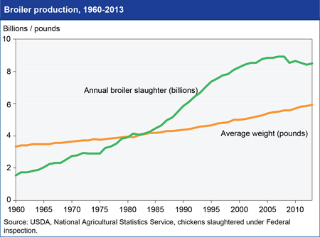 U.S. broiler production has leveled off after decades of rapid growth