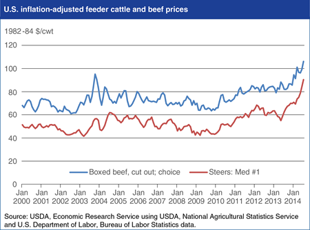 Drought impacts help drive U.S. cattle and beef prices to record levels