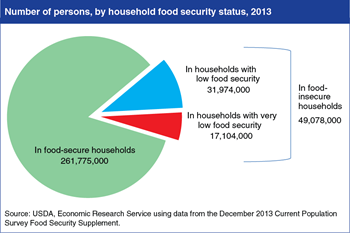 In 2013, 49.1 million Americans lived in food-insecure households