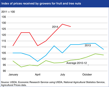 Fruit and tree nut grower prices increase as supplies tighten