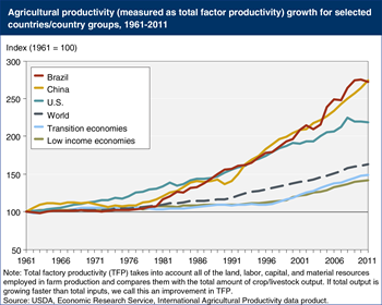 Productivity rises in global agriculture