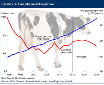The U.S. dairy herd will continue adjusting to market forces