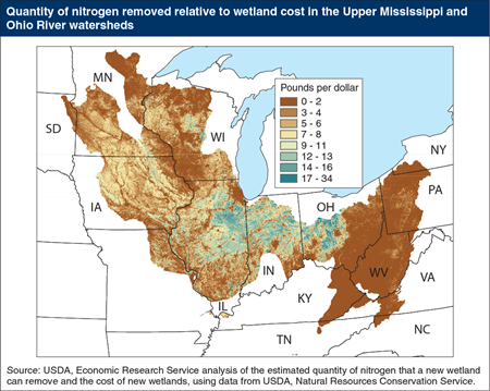 Maintaining and restoring wetlands could remove nitrogen cost effectively over much of the Upper Mississippi and Ohio River watersheds