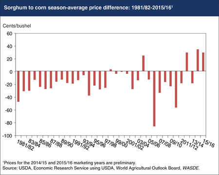 Higher sorghum prices supported by strong export demand