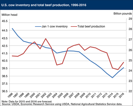 U.S. beef production is historically low, but expected to increase in 2016