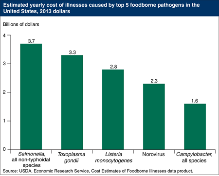 Top 5 foodborne pathogens cost the U.S. economy $14 billion each year
